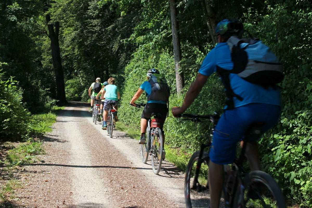 Utgå i från vår Dalslandsstuga på din cykelsemester i Dalsland