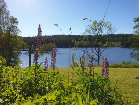 Holiday in Dalsland, Sweden